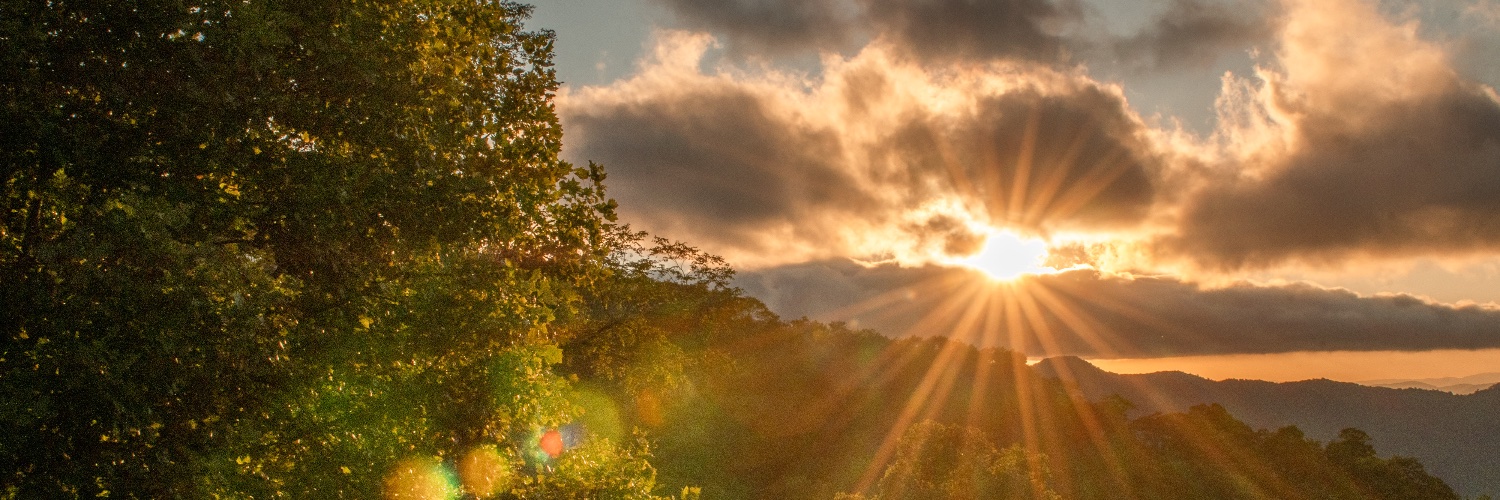 nancy_rutledge's profile banner image
