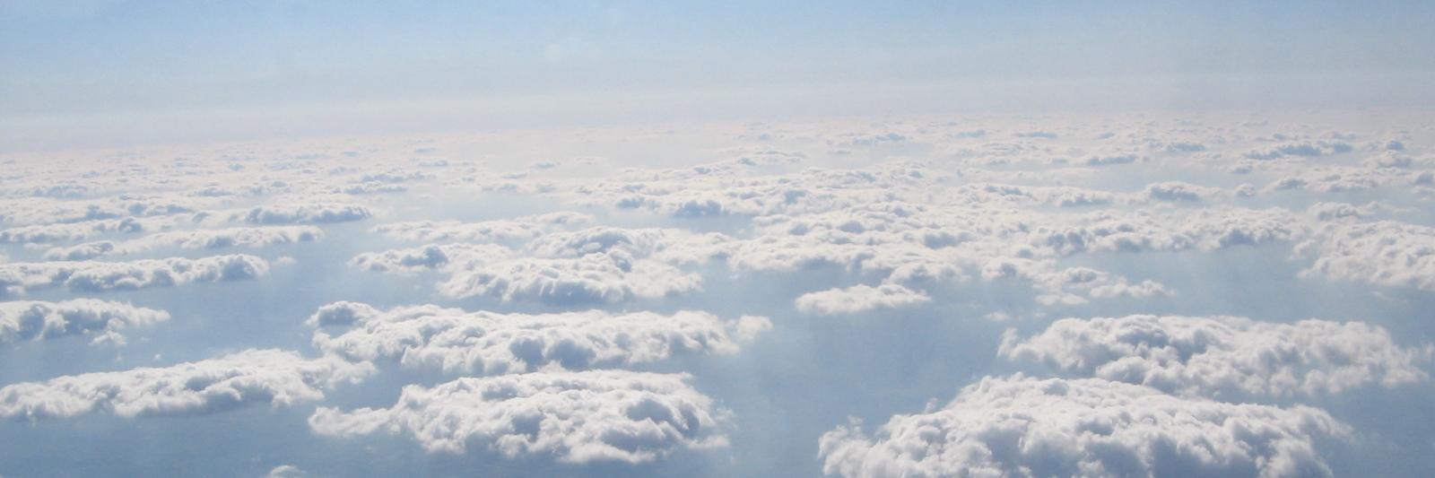𝙿𝚊𝚜𝚌𝚊𝚕 𝙻𝚎 𝙼𝚘𝚒𝚐𝚗 banner