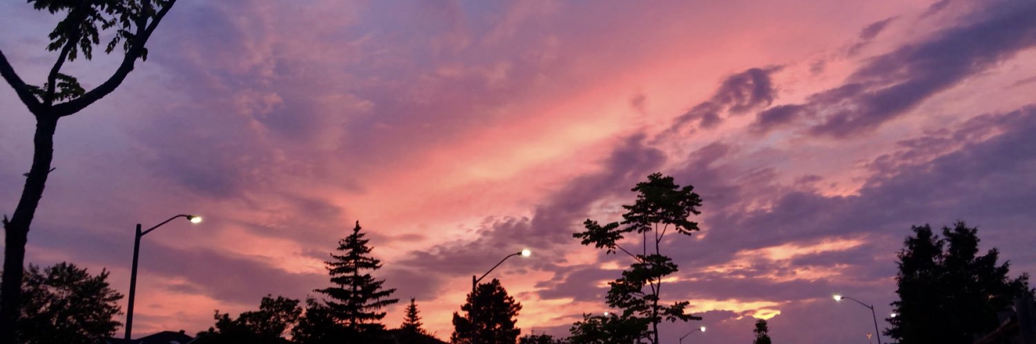 catherinesaltr's profile banner image