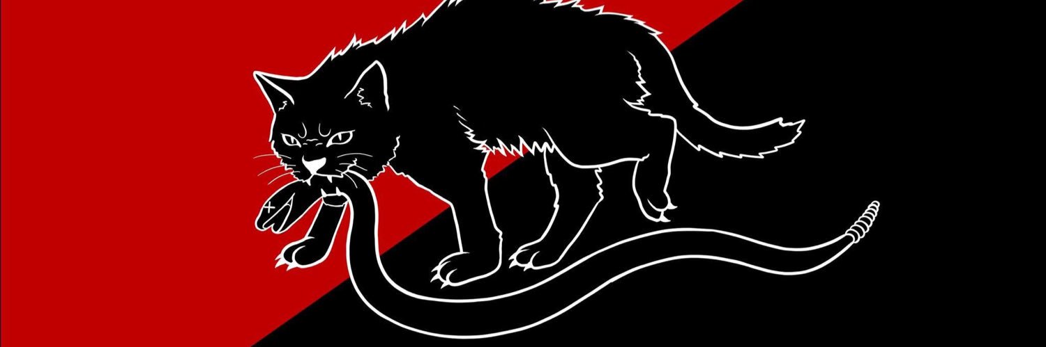 elusiveRavager's profile banner image