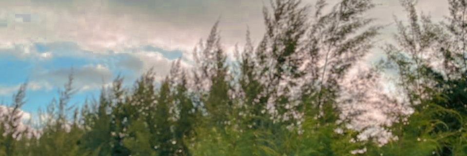 KimH_san's profile banner image