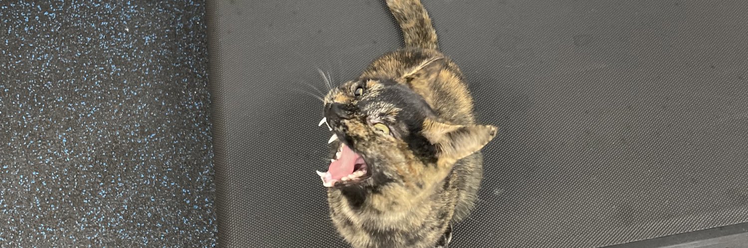 Delaney FitzPatrick banner