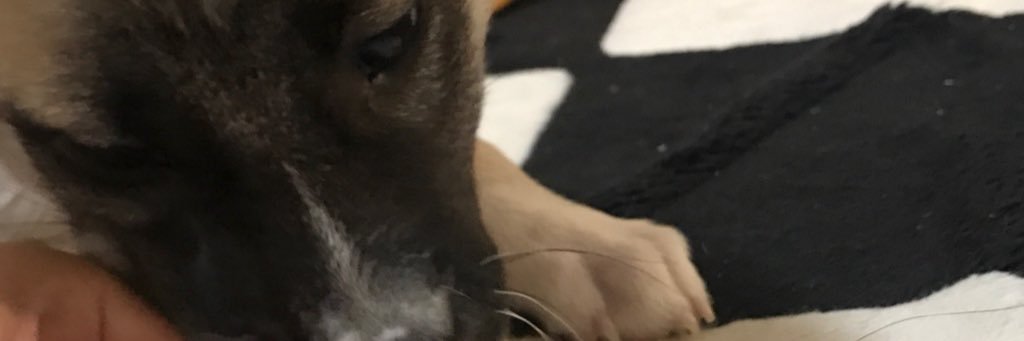 373viicky's profile banner image