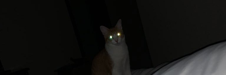 dirty_spud's profile banner image