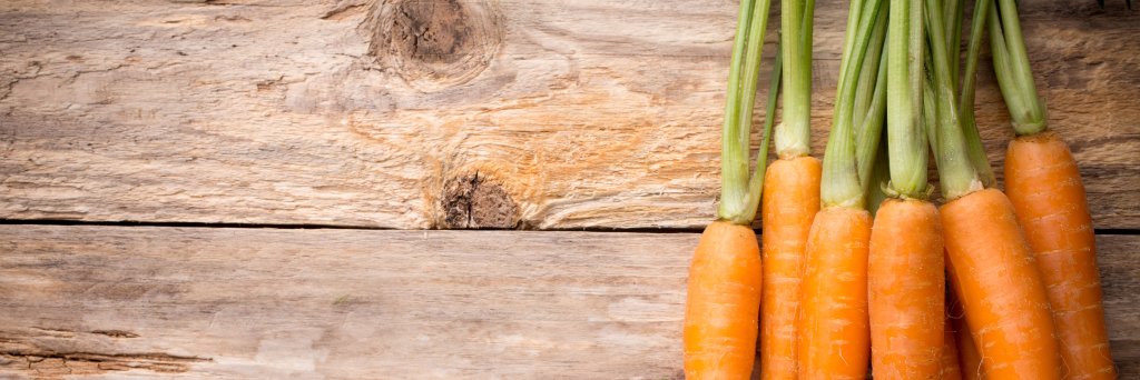 TheHungryHuman's profile banner image