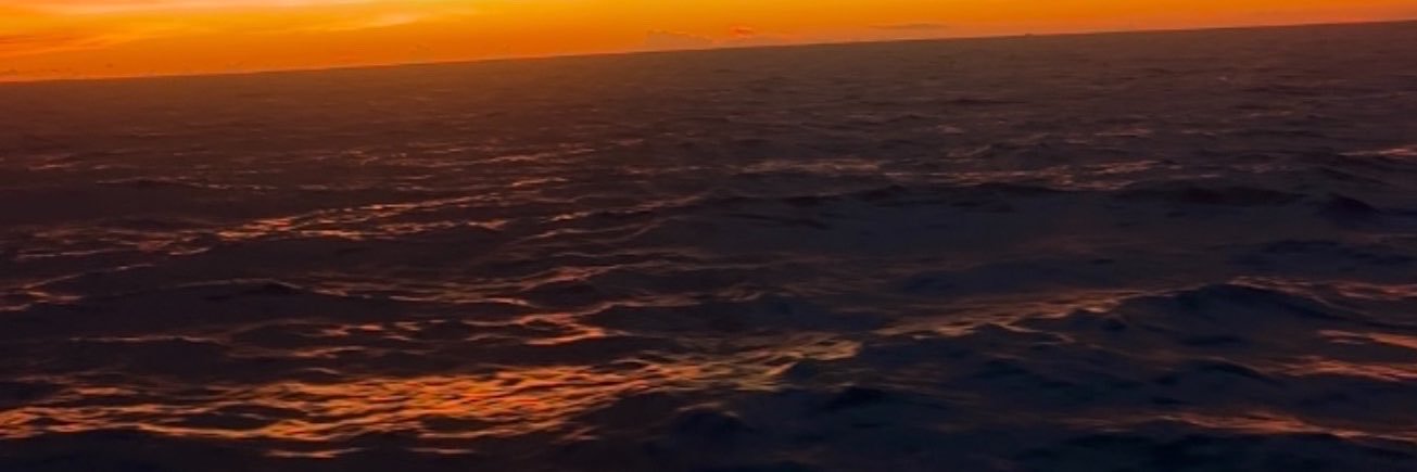 OmarNL19's profile banner image