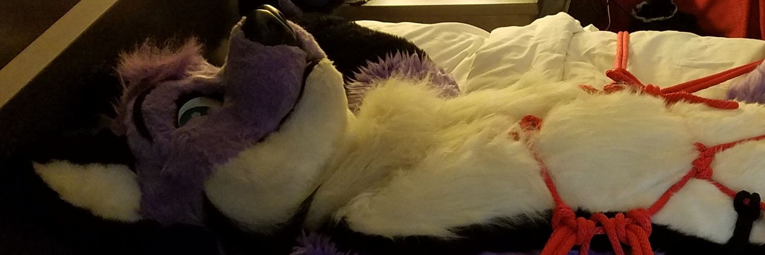 FucKitFox's profile banner image