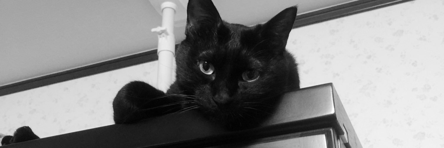 yoccorasho's profile banner image