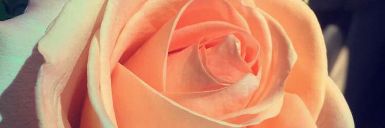 ashleygracee's profile banner image