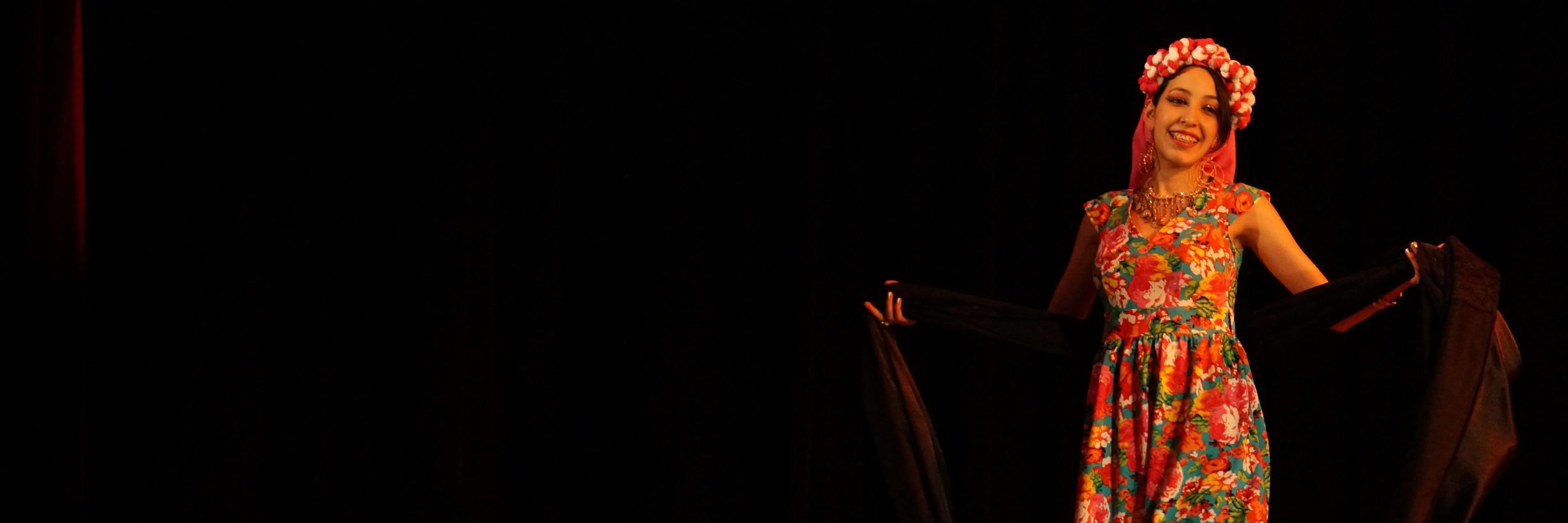 17Luciole's profile banner image