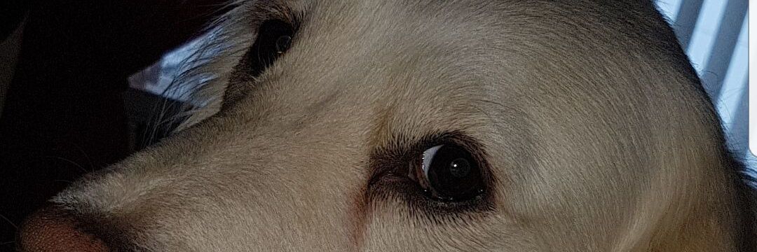 DeanGoodway1's profile banner image