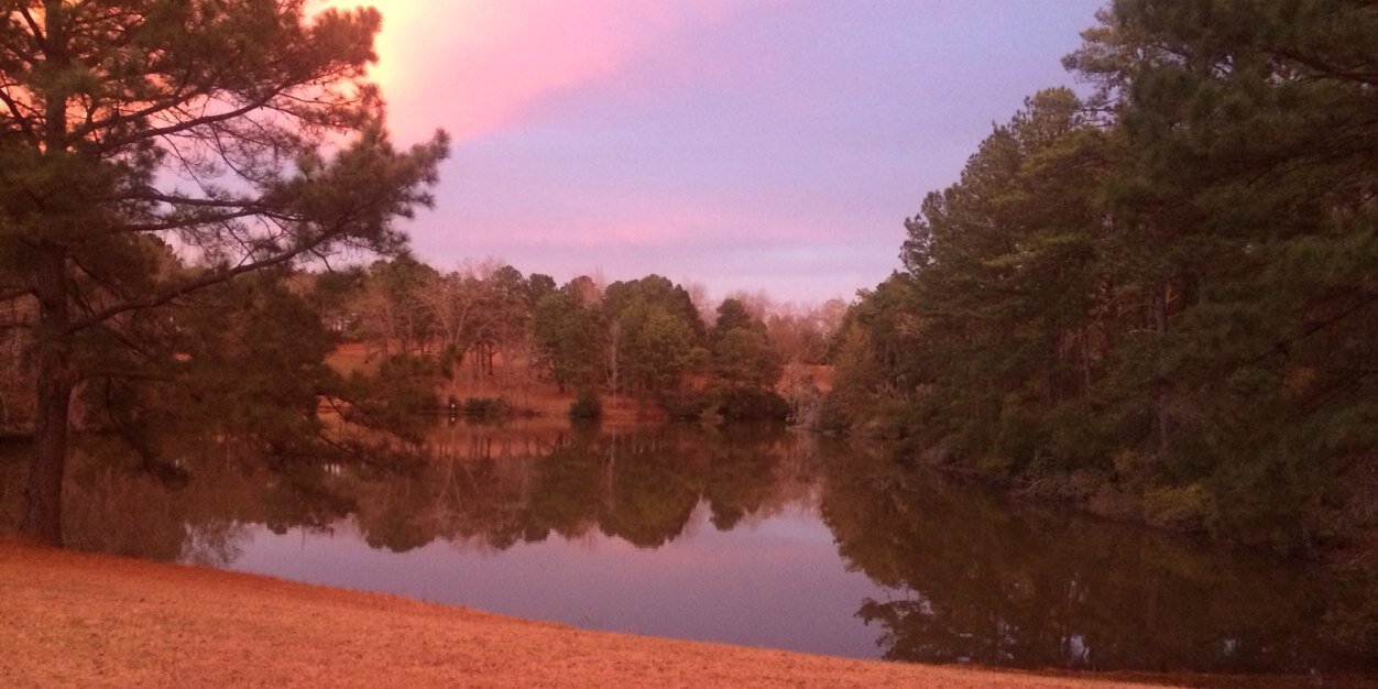 vaughandickson's profile banner image