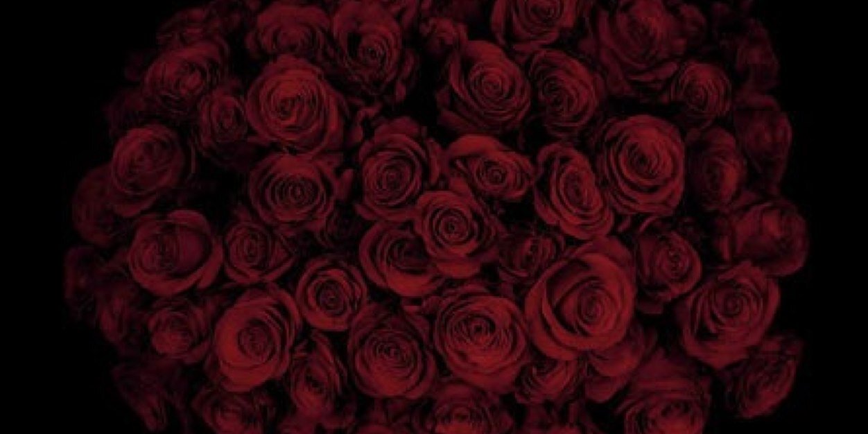 GinaRavera's profile banner image