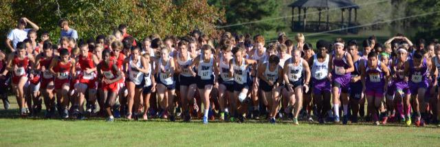 PauldingCountySports banner