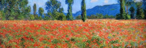 sloppypoppy Profile Banner