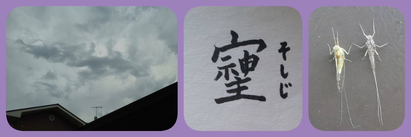 ice_aisu__'s profile banner image