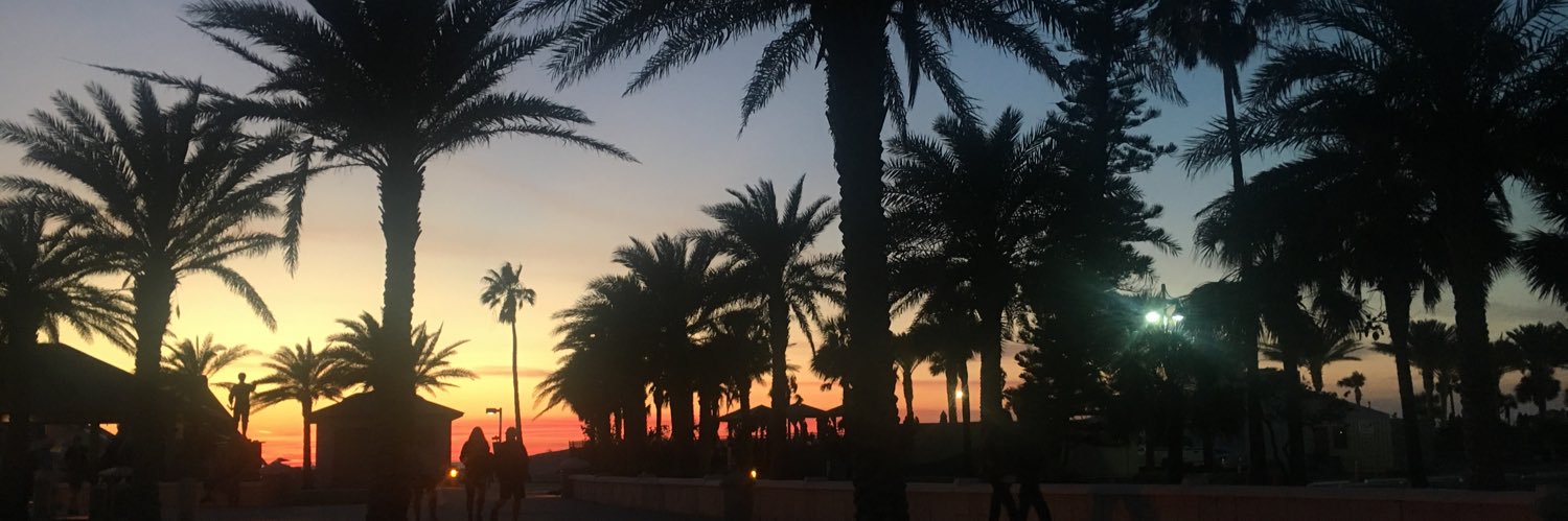 seductve_cactus's profile banner image
