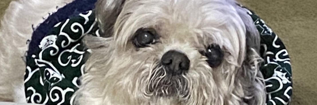 abctienpo's profile banner image
