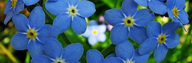 Maria Bitka-Urbanek banner