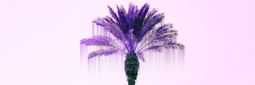 _WA4's profile banner image