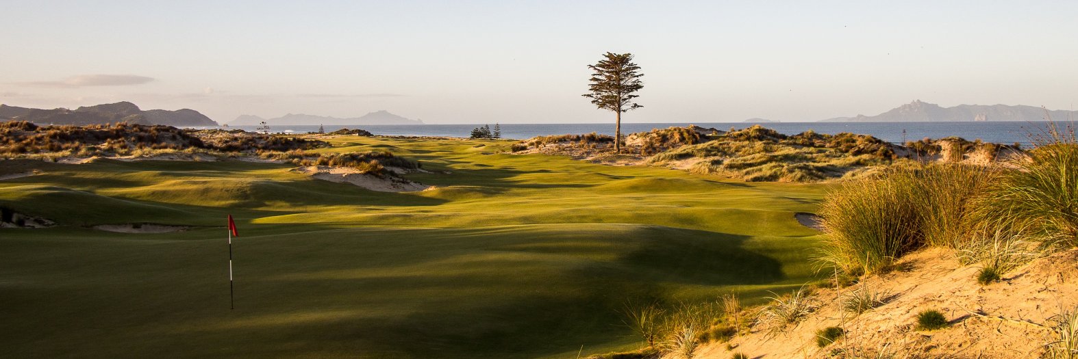 Clyde Johnson banner