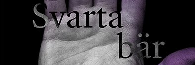 Pelle Sunvisson banner