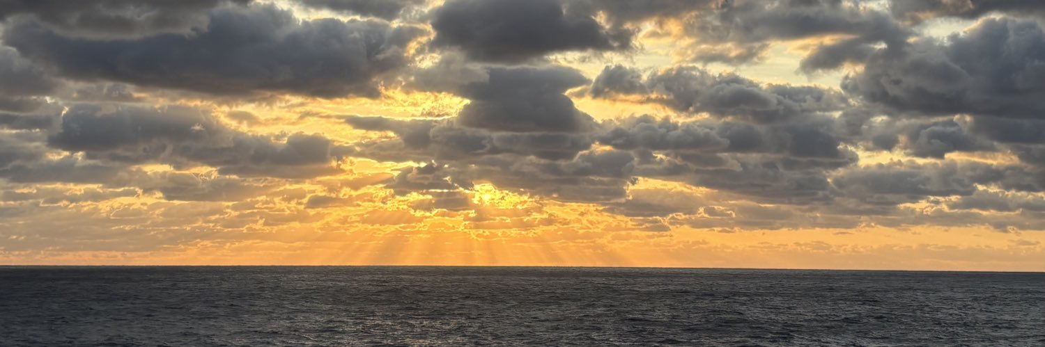 🎀 gemeinsam 🎀 banner