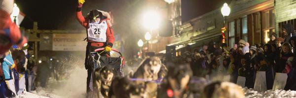 CopperDog150 Profile Banner