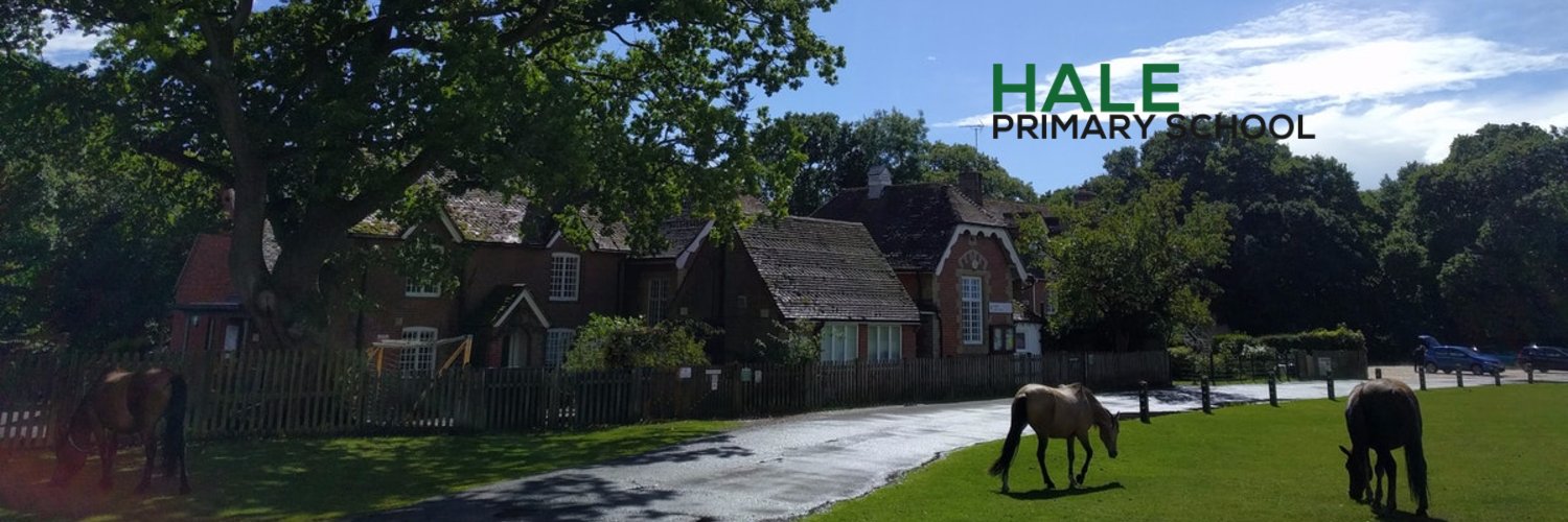 Hale Primary School banner