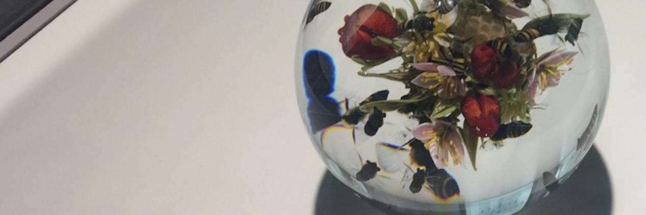 erinsage's profile banner image