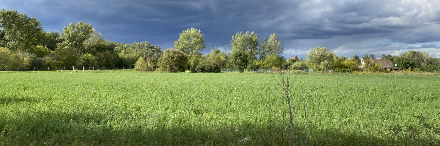 Gábor SEBESTYÉN (@segabor@czinege.social) 🇭🇺🇪🇺 banner