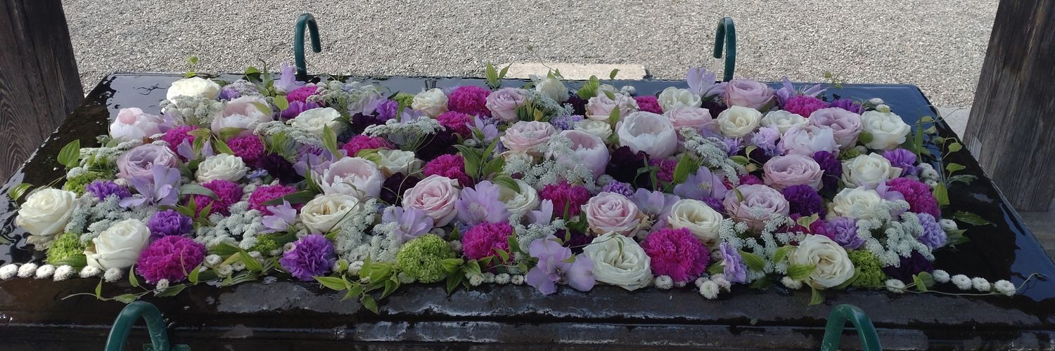 はるかฅ(ﾐ・ﻌ・ﾐ)ฅ banner