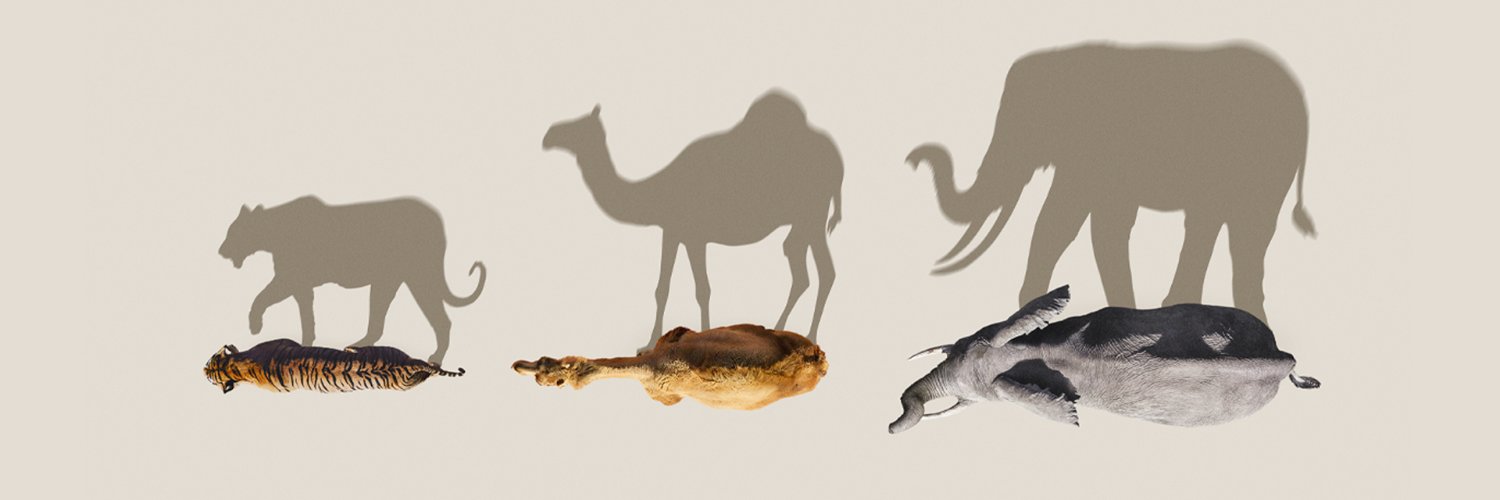 BBC Earth Canada banner