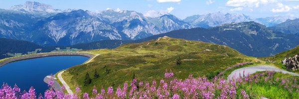 RimbachRebecca Profile Banner