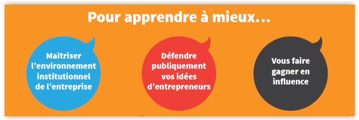 IELOinstitut's profile banner image