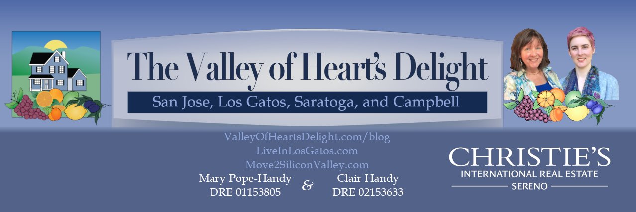 MaryPopeHandy banner