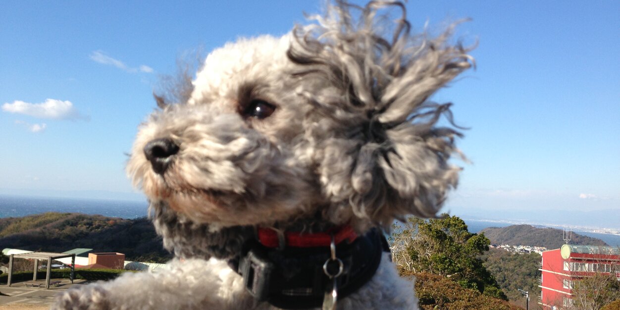 ゆっこさん banner