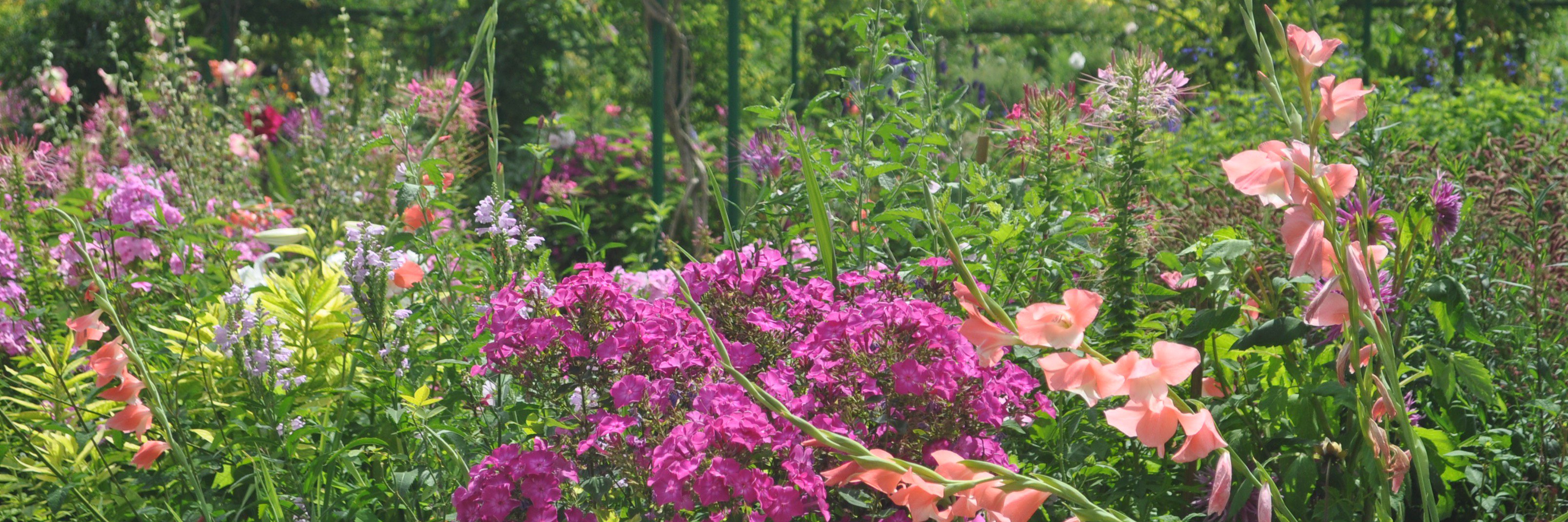 BidMgmtTungsten's profile banner image