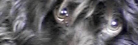 time_scoop's profile banner image