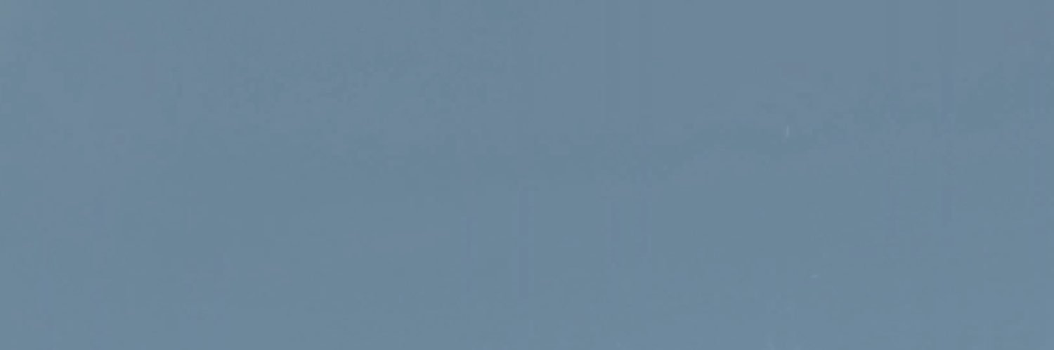 l3titblossom's profile banner image