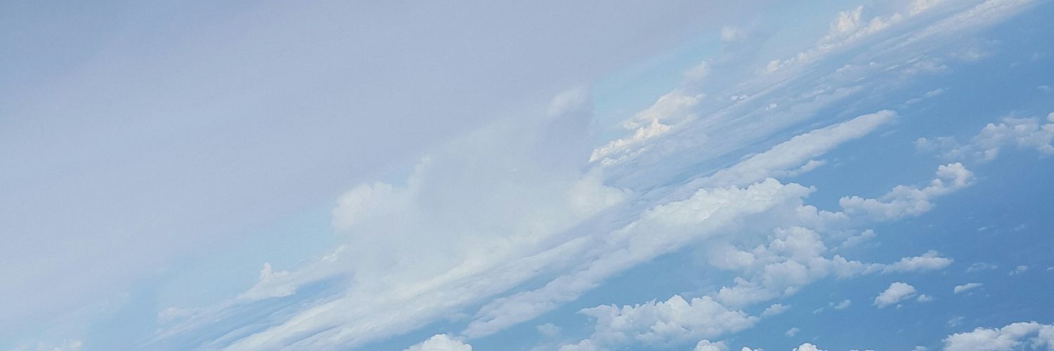 zizdzo's profile banner image