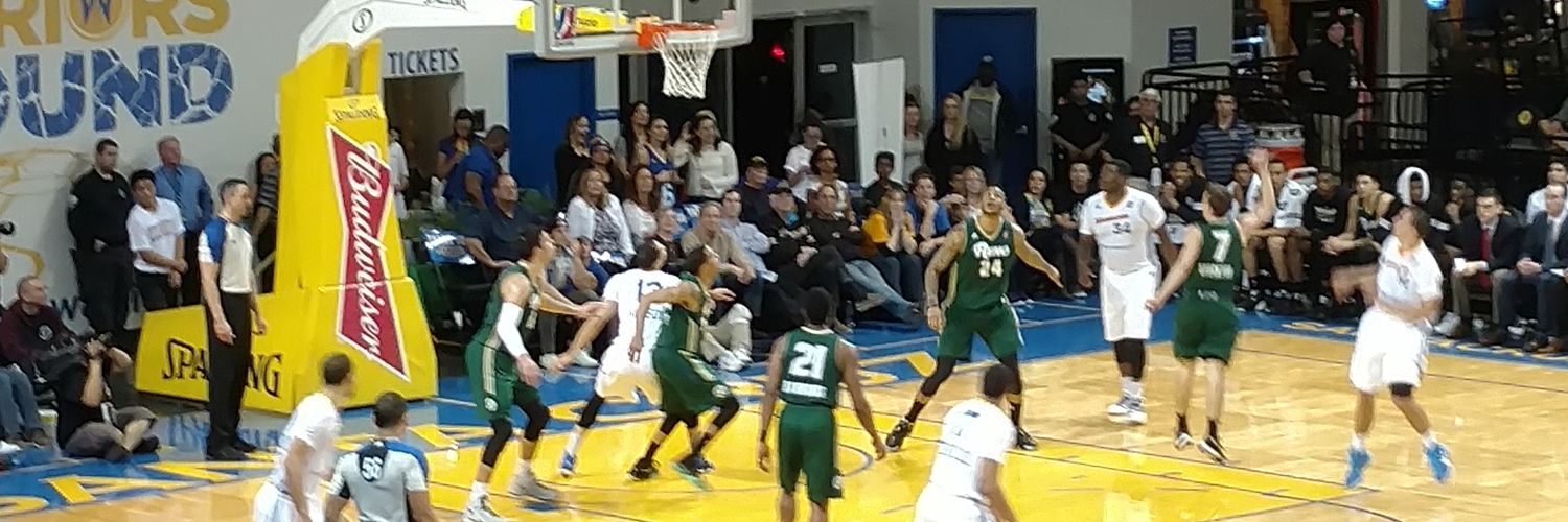 Carole Lindner 🐞🐼 banner