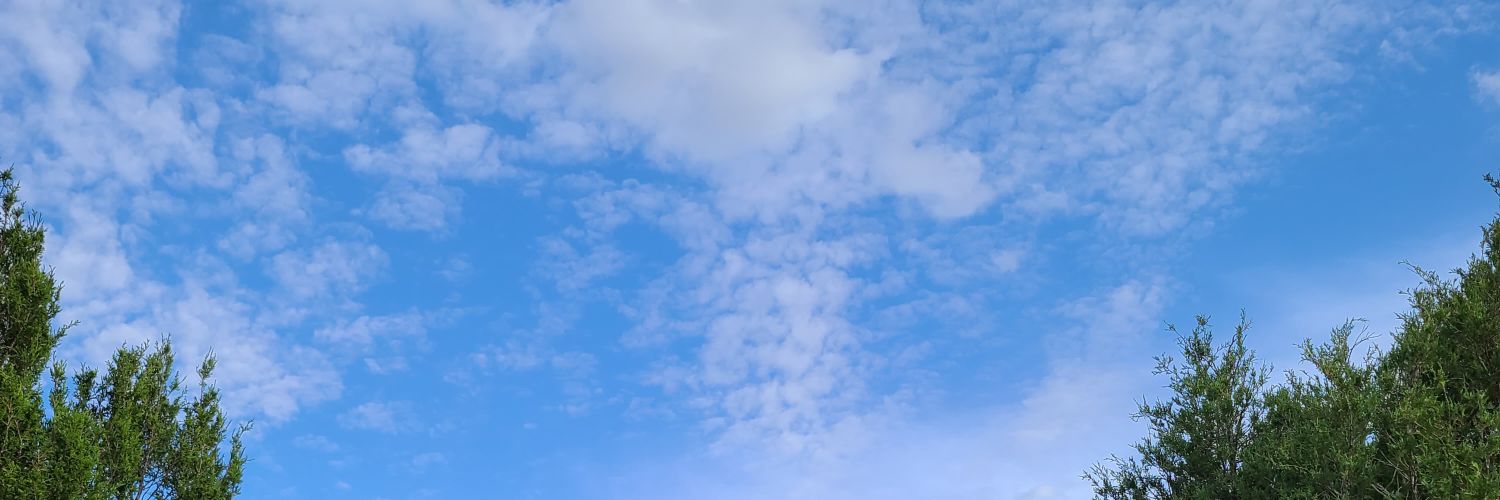 Michelle_CGz's profile banner image