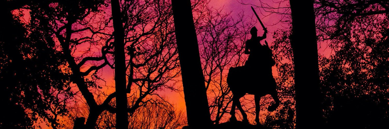 Rohit Digraskar banner