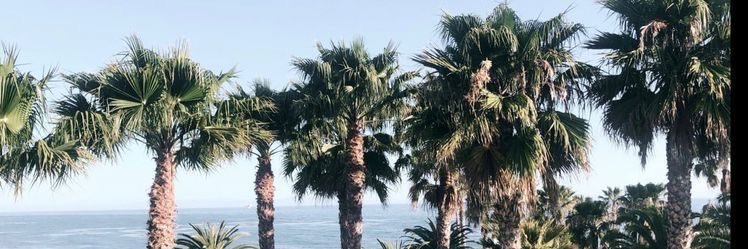 danabnty's profile banner image
