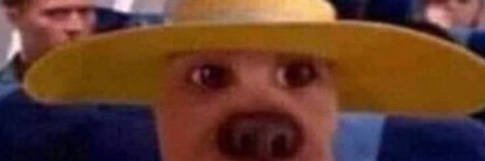 binho labibinho lababy banner