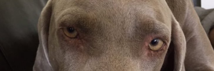 EricAndHisAss's profile banner image