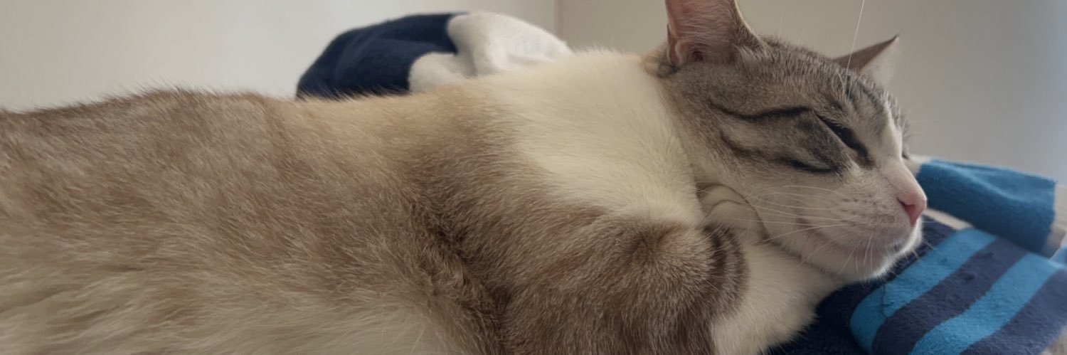 moussecx's profile banner image