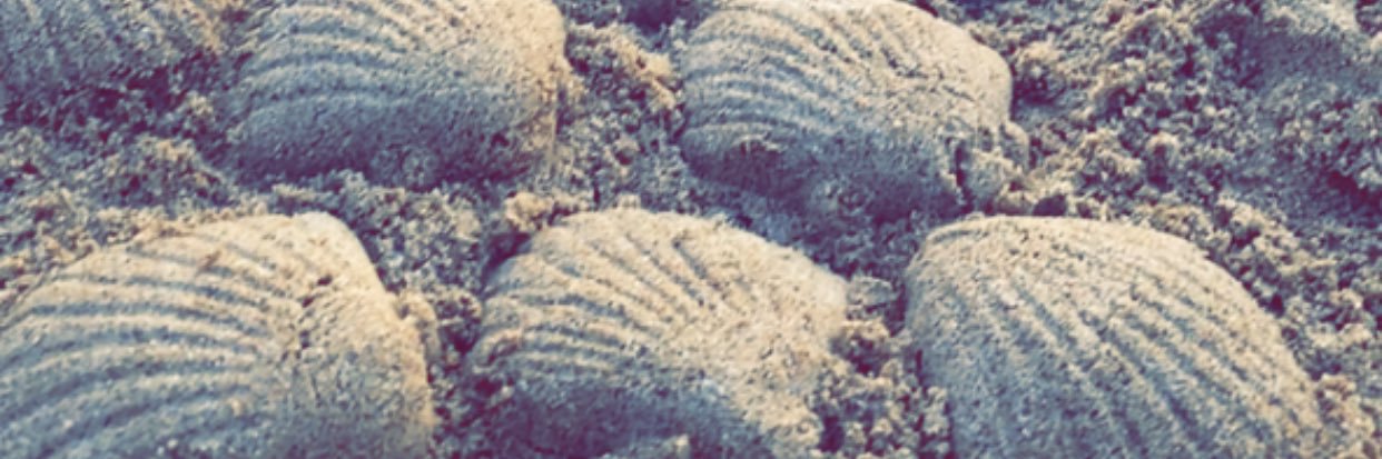 niceemy's profile banner image