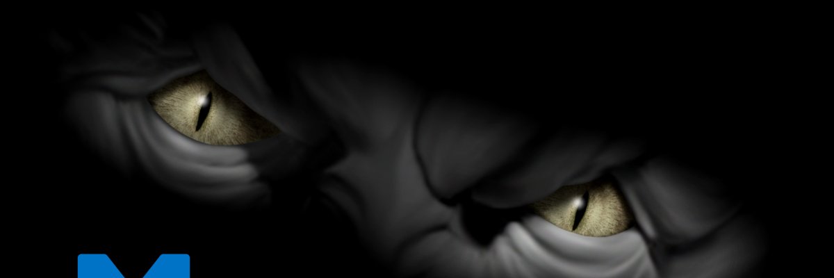 Markdown Monster's banner